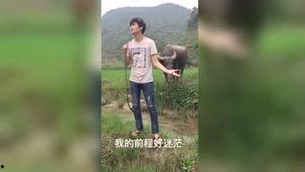 国产午夜福利视频在线,揭秘国内私密娱乐产业现状