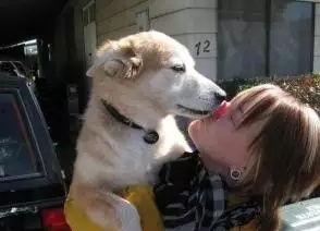 娱乐吃瓜酱舔狗